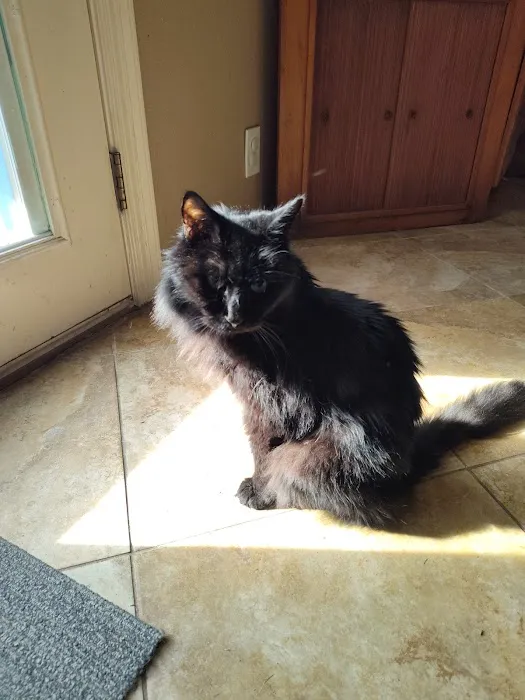 Twin City Veterinary Clinic Picture 8