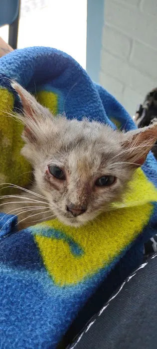 McGowan Veterinary Hospital Picture 1