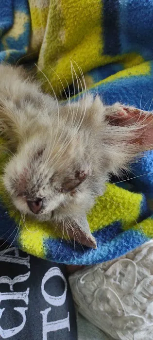 McGowan Veterinary Hospital Picture 2