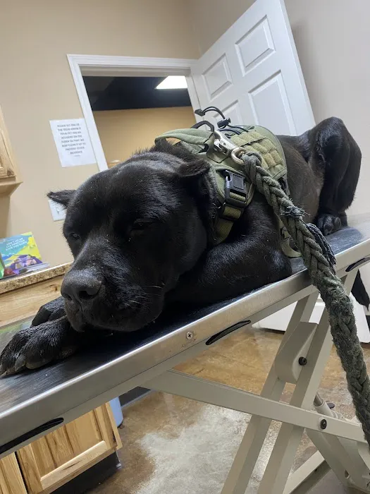 Eastex Veterinary Clinic Picture 1