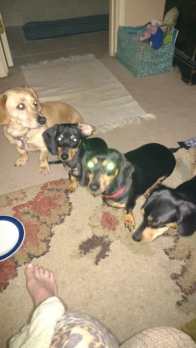 Billy Crenshaw DVM Picture 1