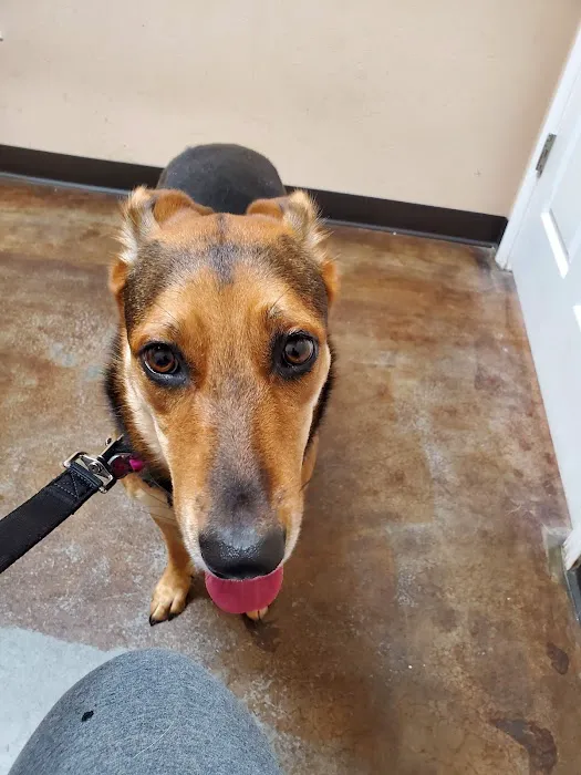 Billy Crenshaw DVM Picture 4