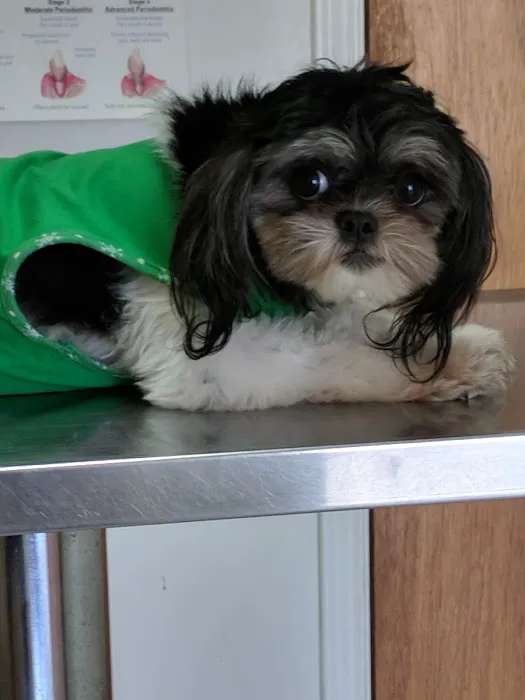 Billy Crenshaw DVM Picture 7