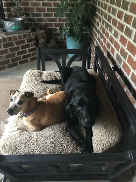 Bark & Purr Veterinary Clinic Picture 3