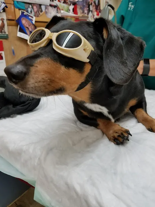 Countryside Veterinary Clinic Picture 1