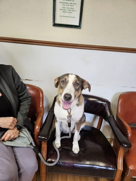 Countryside Veterinary Clinic Picture 6