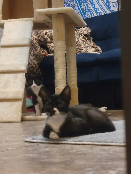 Countryside Veterinary Clinic Picture 8