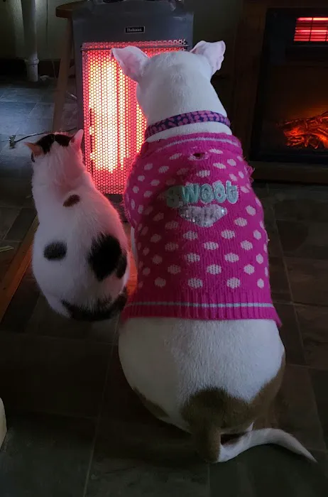 Countryside Veterinary Clinic Picture 4