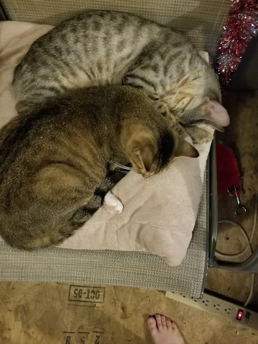 Countryside Veterinary Clinic Picture 9