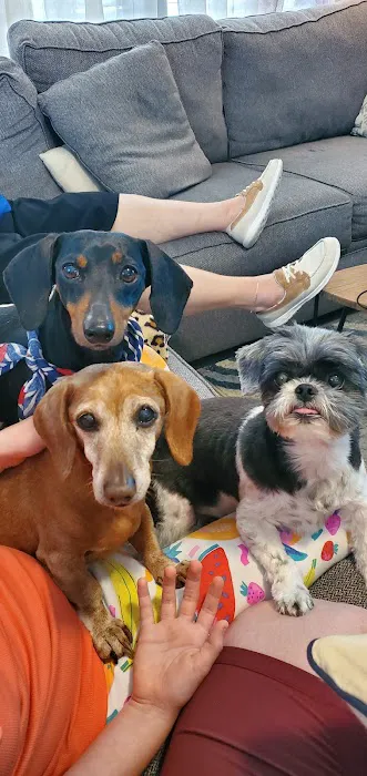 Countryside Veterinary Clinic Picture 10