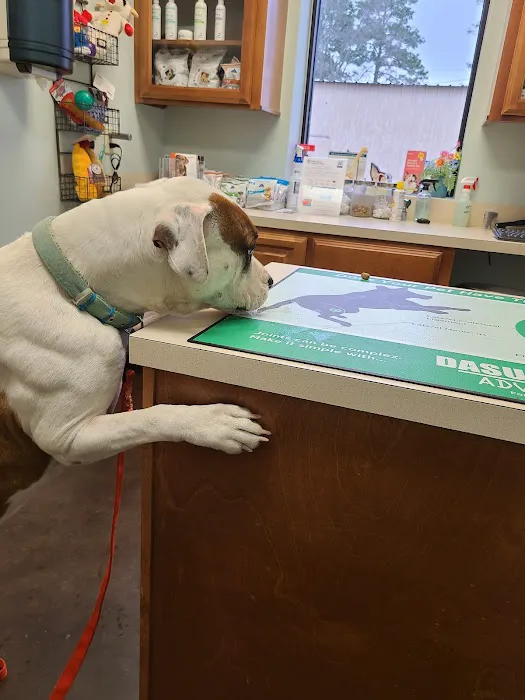 Main Street Veterinary Clinic Picture 7