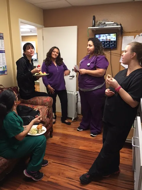 The Cat Doctor Picture 9