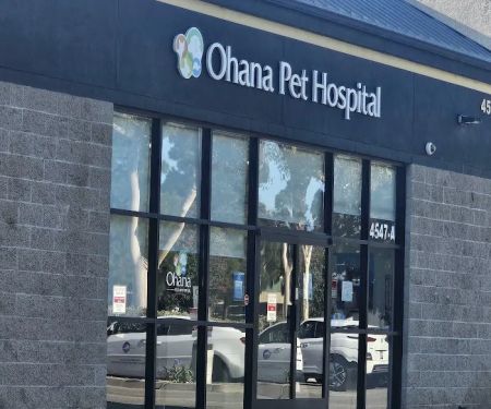 Ohana Pet Hospital