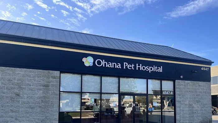 Ohana Pet Hospital Picture 2