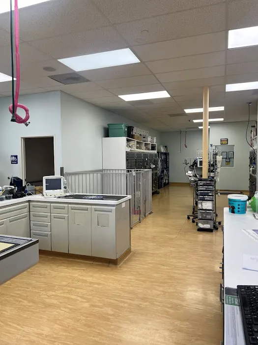 Ohana Pet Hospital Picture 5