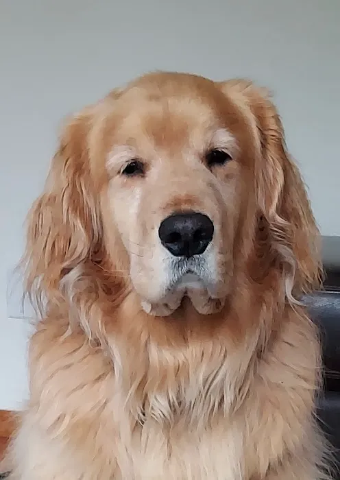 Ohana Pet Hospital Picture 10