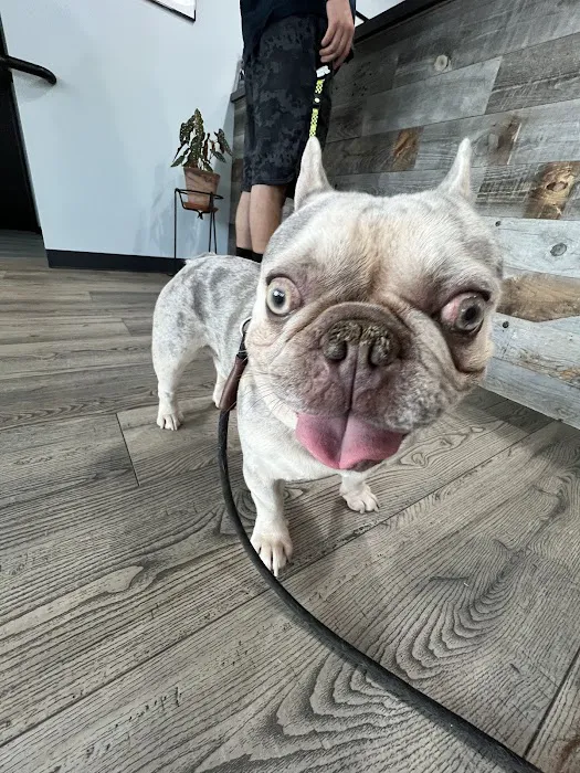 Cornelius Pet Hospital Picture 3