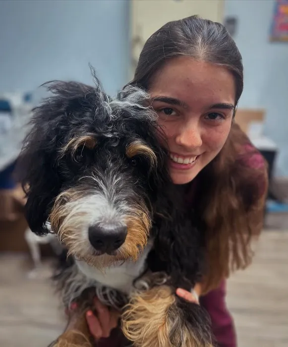 Cornelius Pet Hospital Picture 1