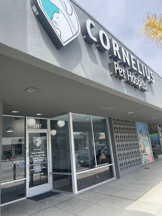 Cornelius Pet Hospital Picture 4