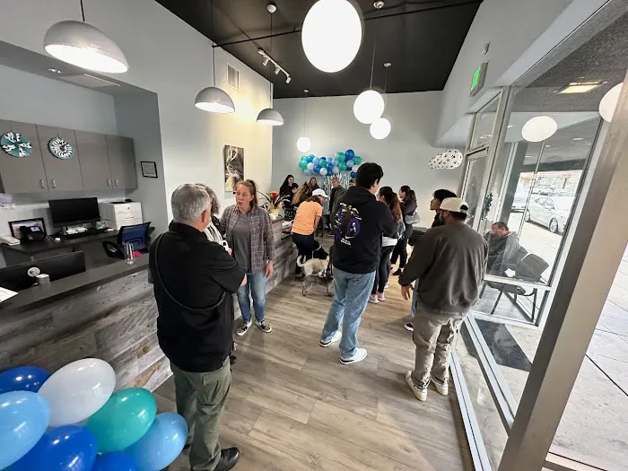 Cornelius Pet Hospital Picture 8