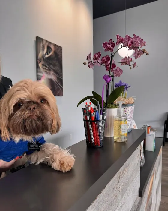 Cornelius Pet Hospital Picture 9