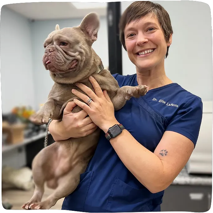 Cornelius Pet Hospital Picture 10