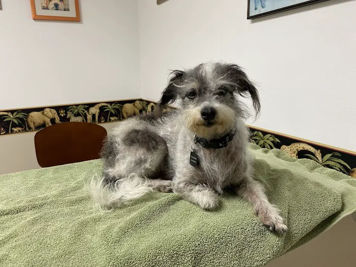 Ventura Veterinary Hospital Picture 1