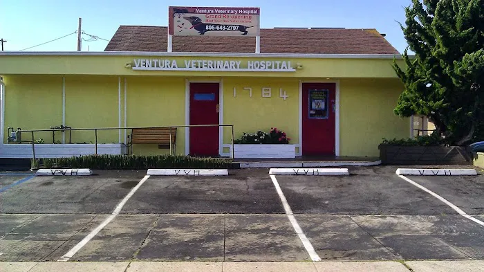 Ventura Veterinary Hospital Picture 2
