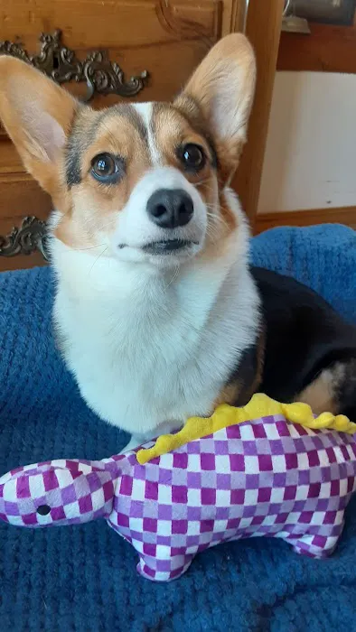 Ventura Veterinary Hospital Picture 7