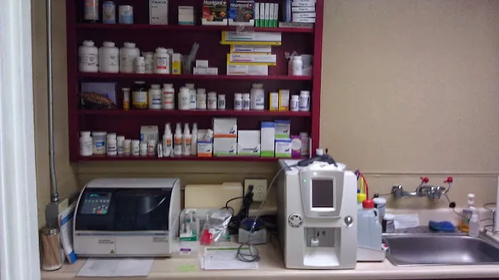 Ventura Veterinary Hospital Picture 9