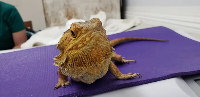 McNeil Veterinary Services Picture 1