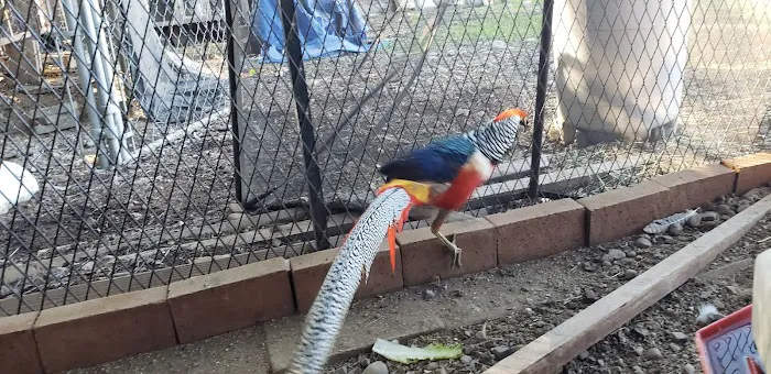 McNeil Veterinary Services Picture 2