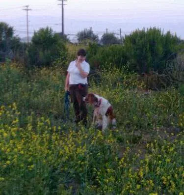 McNeil Veterinary Services Picture 5