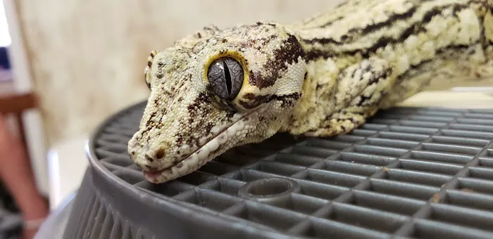 McNeil Veterinary Services Picture 7