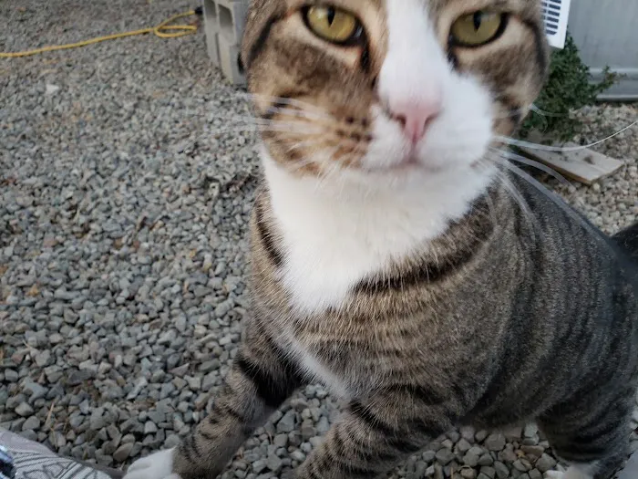 McNeil Veterinary Services Picture 9