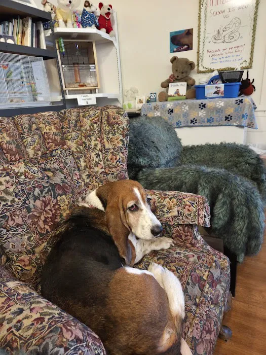 McNeil Veterinary Services Picture 8