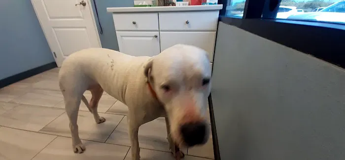 Vail Ranch Veterinary Hospital Picture 1