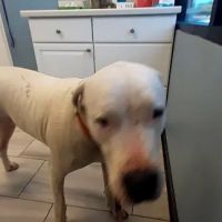 Vail Ranch Veterinary Hospital ico