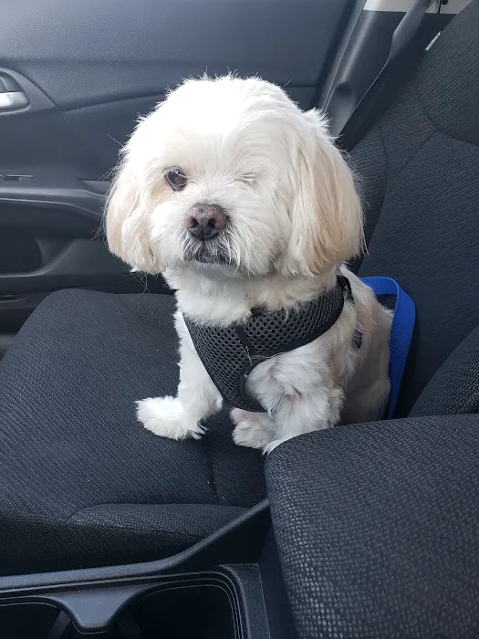 Vail Ranch Veterinary Hospital Picture 8