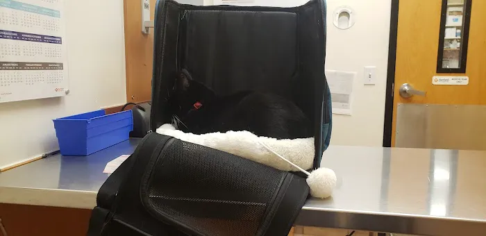 Banfield Pet Hospital Picture 5