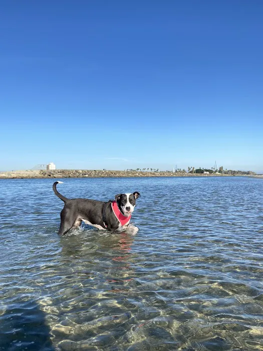 Temecula Creek Veterinary Picture 3