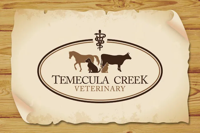 Temecula Creek Veterinary Picture 9