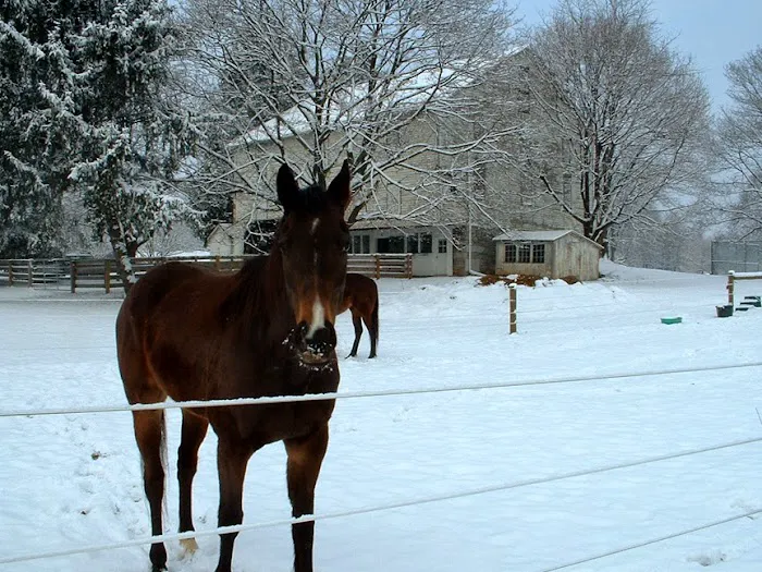 Temecula Creek Veterinary Picture 7