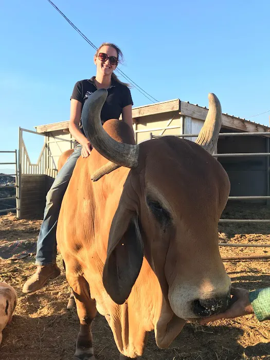 Temecula Creek Veterinary Picture 10