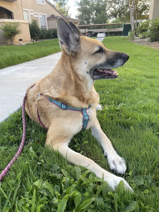 South Temecula Veterinary Hospital Picture 3