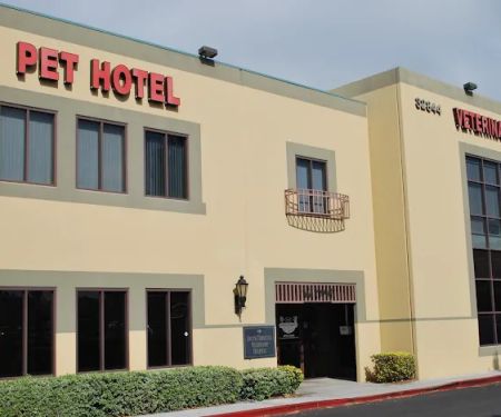 South Temecula Veterinary Hospital