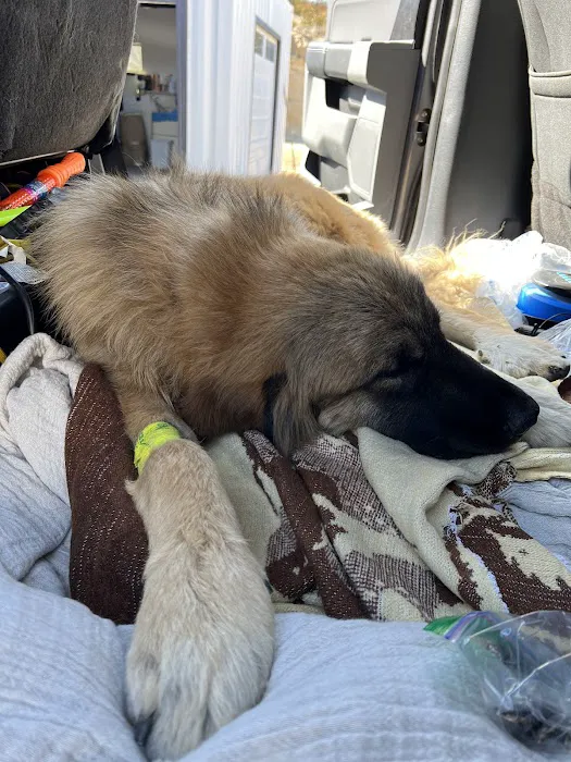 South Temecula Veterinary Hospital Picture 2