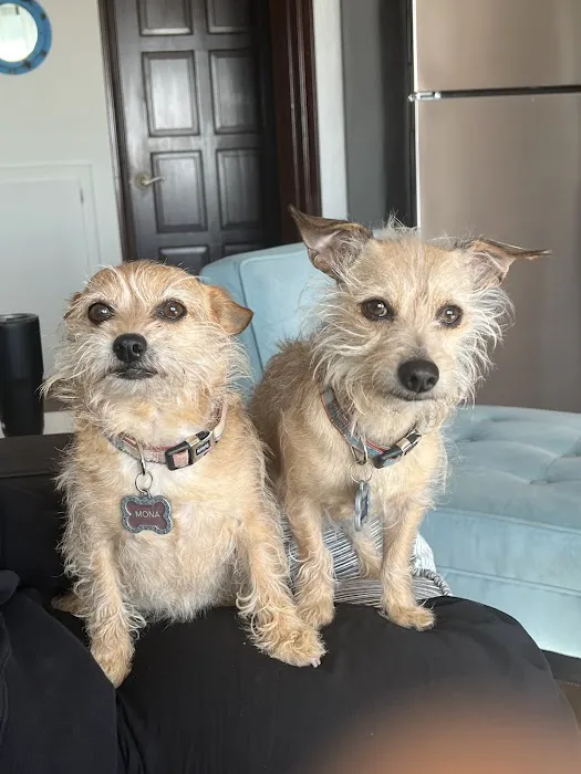 South Temecula Veterinary Hospital Picture 4