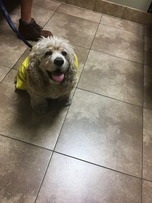 South Temecula Veterinary Hospital Picture 7