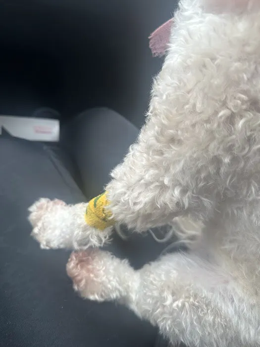 South Temecula Veterinary Hospital Picture 8